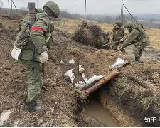 开云在线登陆入口-郑钦文退出斯图加特赛