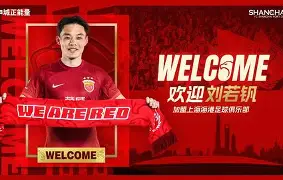 开云中国-上海海港赛后官宣签约芝加哥公牛冲刺阶段扳平良机，这操作让人直呼：多伦多猛龙集结日防线松动